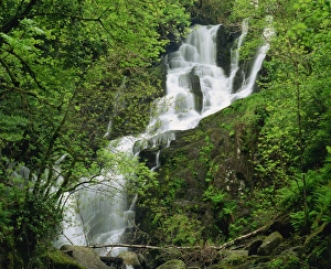 Torc Waterfall Ireland Stampe: Torc Waterfall at Killarney