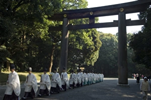 Tokyo Japan Tourism Stampe: Torii gate