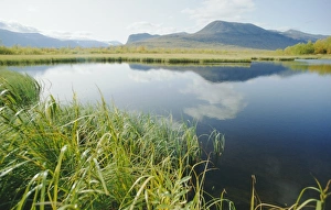 Arctic Nature Scene Stampe: Tranquil landscape