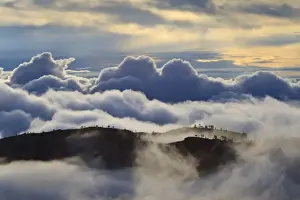 American Nature Scene Stampe: Tree studded ridges, fog and clouds of a partial temperature inversion
