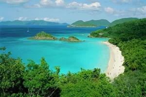 Central America Scenic Views Stampe: Trunk Bay, St