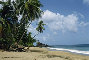 Colorful Tropical Landscape Stampe: Turtle Beach