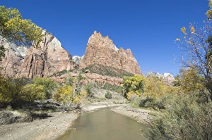 Zion National Park Photography Stampe: _TUW7331