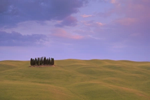 Rolling Hills Italy Stampe: Typical landscape