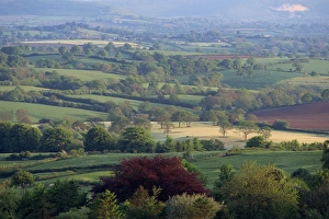Uk Rural Scenery Stampe: Typical patchwork fields, Dorset, England, United Kingdom, Europe