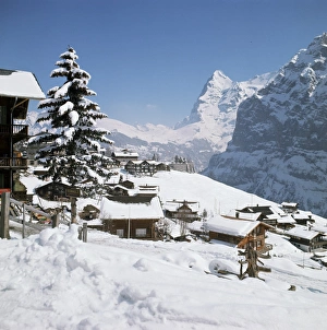 Murren Village Switzerland Stampe: View towards the Eiger