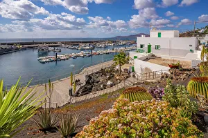 Canary Islands Coastal Scenery Stampe: View of harbour from elevated position