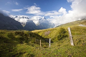 Bernese Oberland Scenic Views Stampe: View of Mount Eiger from First, Grindelwald, Bernese Oberland, Canton of Bern, Swiss Alps