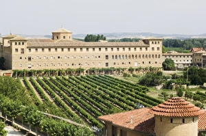 Immagini datate 8 gennaio 2000: Vigna e monastero