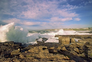 Stormy Sea Photography Stampe: Walker Bay