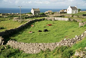 European Union Countryside Stampe: Walled fields