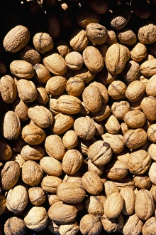 Walnut Photography Stampe: Walnuts