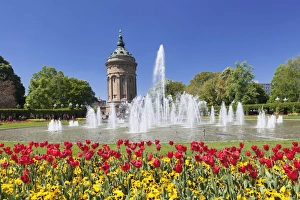 Germany Travel Guide Stampe: Wasserturm am Friedrichsplatz, Mannheim, Baden-Wurttemberg, Germany, Europe