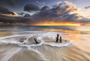 Caribbean Sea Scenery Stampe: The waves and caribbean sunset frames tree trunks on Ffryes Beach