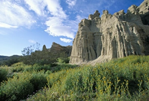 Mojave Desert Rock Formations Stampe: White House Cliffs