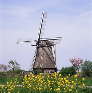 Kinderdijk Windmill Stampe: Windmill, Kinderdijk