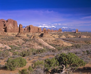 Desert Mountain Range View Stampe: The Windows section