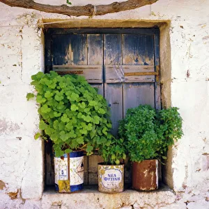 European Coastal Views Stampe: Windowsill