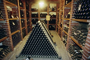 Tuscany Wine Region Stampe: Wine cellar
