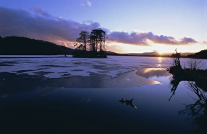 United Kingdom Rural Landscapes Stampe: Winter landscape