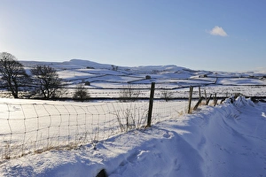 Yorkshire Dales Scenic Views Stampe: Winter view of snow covered fields, Wensleydale, Yorkshire Dales National Park