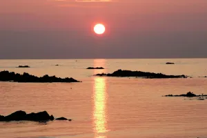 Guernsey Sunset Stampe: Sunset