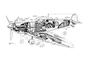 Disegno a taglio di Supermarina Spitfire Mk 1A