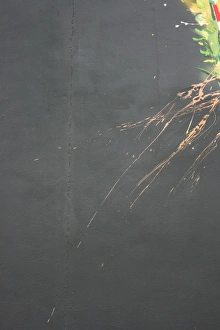 Commercial Use Images Stampe: Abstract - paint
