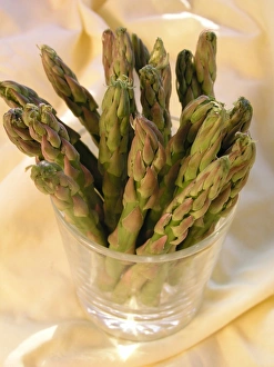 Asparagus Photography Stampe: Asparagus