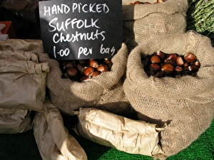 Autumn Food Stampe: Chestnuts