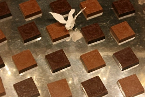 Dessert Ideas Stampe: Chocolate