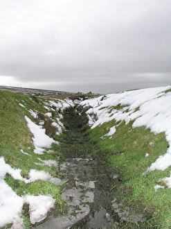 UK Photography Stampe: Dartmoor, Devon