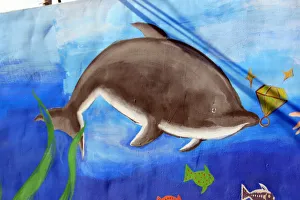 Stampe di Delfino e pesce Pesce Delfino Stampe: Delfino e pesce