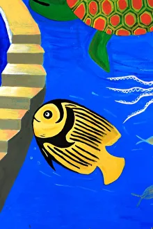 Tropical Fish Photos Stampe: Fish on steps