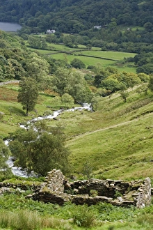Stampe di Wales, Conwy, Snowdonia. Il fiume Afon Cwm Llan scorre fuori di controllo e si scatena tra una serie di cascate vicino al sentiero Watkin uno dei percorsi per salire sul Monte Snowden Immagini datate 2008 agosto: Agosto 2008