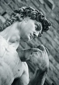 Firenze Stampe: La statua di Domenico