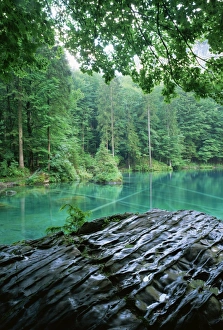 Bernese Oberland Tourism Stampe: Blausee, Kandersteg