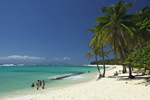 Island Hopping In The Caribbean Stampe: Capesterre