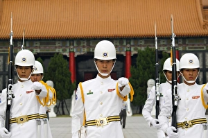 Changing Of The Guard Ceremony Stampe: Changing of the guards
