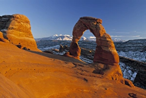 American West Scenic Views Stampe: Delicate Arch