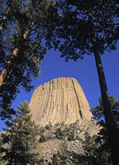 Devils Tower Wyoming Stampe: Devils Tower