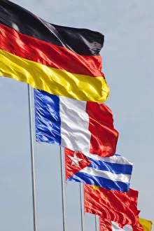 National Flags Stampe: Flags