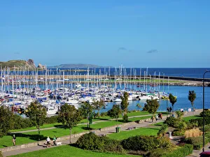 Ireland Coastal Photography Stampe: Howth Harbour, elevated view, Howth, County Dublin, Ireland