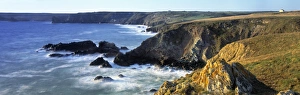 South West England Photos Stampe: The Lizard
