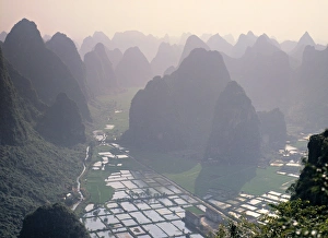 Guangxi Province Landscape Stampe: Rice fields
