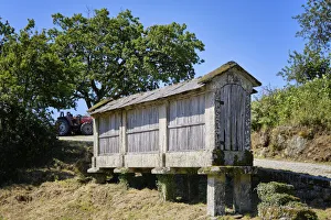 Traditional Espigueiros Stampe: A traditional granary (espigueiro) at Bobal, serra do Alvao. Tras os Montes, Portugal