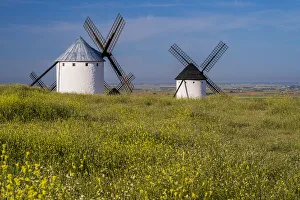 Campo De Criptana Spain Stampe: Typical windmills, Campo de Criptana, Castilla-La Mancha, Spain