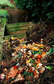 Gardening Tips Stampe: A compost heap