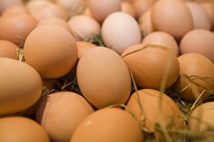 Free Range Farming Practices Stampe: Free range eggs