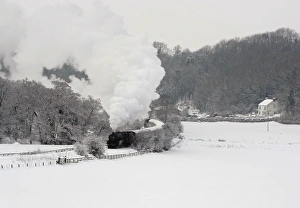Vintage Train Photos Stampe: RTXVDRH